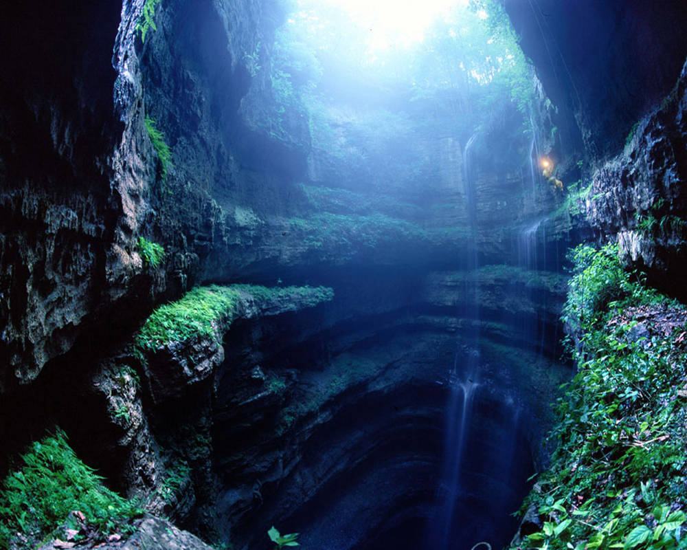 Большая бездна. Пещера ласточек в Мексике. Сан Луис Потоси пещера ласточек. Пещера ласточек Санктум Мексика. Пещера ласточек - Сотано де Лас Голондринас.