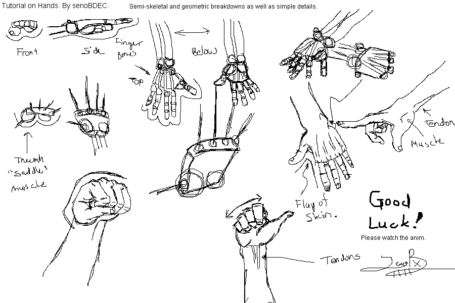 Male Hand Tutorial 01