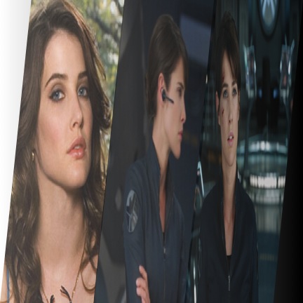 Cobie Smulders is Agent Maria Hill