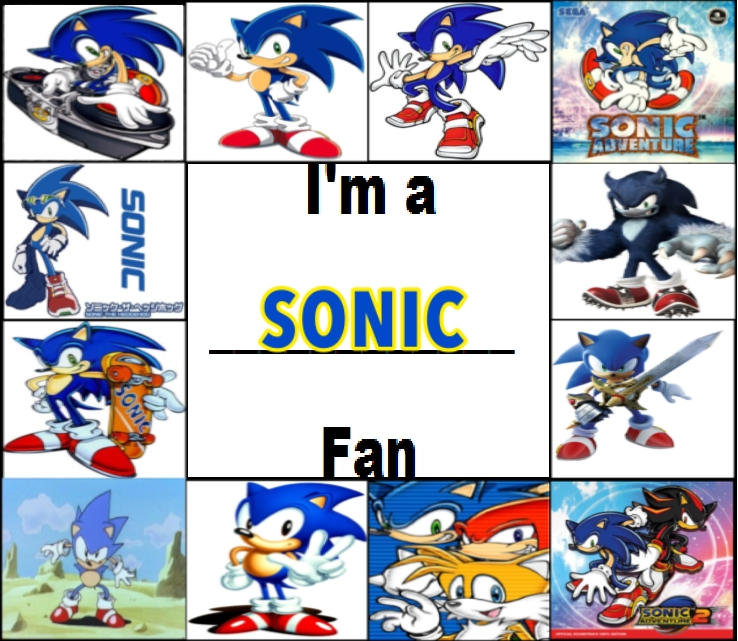 Sonic Fan Roster i'm a Sonic fan by LindseyNicole1999 on DeviantArt