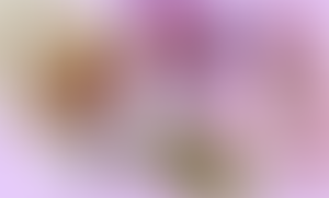 Yuuta TF Sheet (Gift)