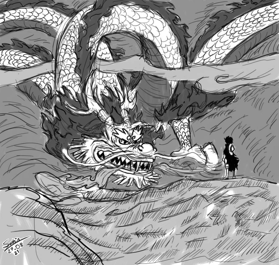 Dragon by luffy1m on DeviantArt  Monkey d dragon, One piece manga