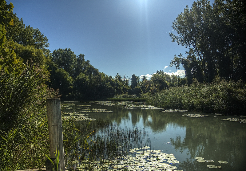 Peche Island Dock 3