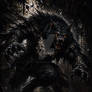 Concept Art: Black Wolf of the Fallen Cathedral