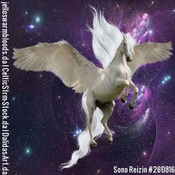 Pegasus Avatar