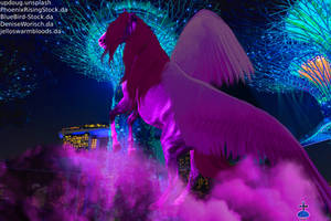 Midnight Flight