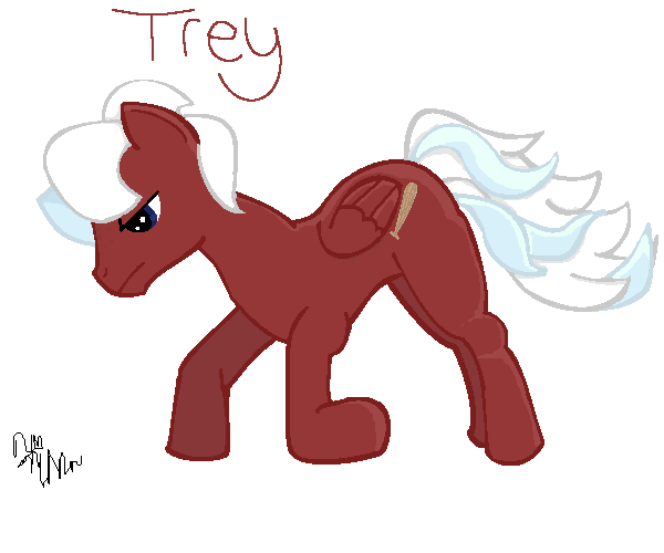Trey Pony