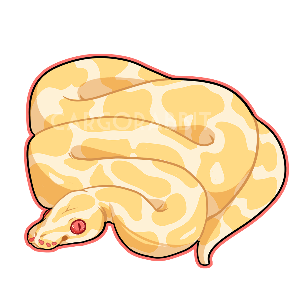 Albino Ball Python by Cargorabbit on DeviantArt