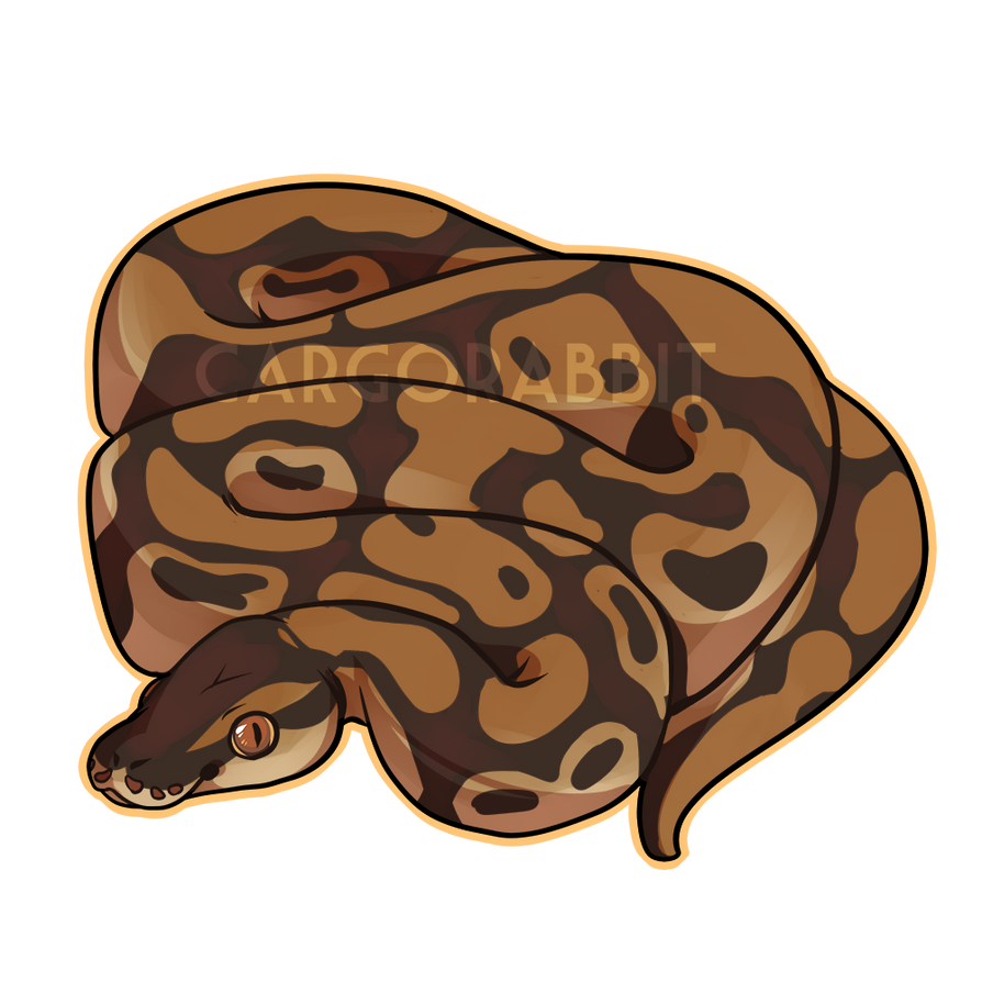 Ball Python by Cargorabbit on DeviantArt