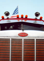 Peterbilt 359