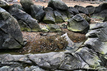 Tidepool HDR