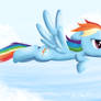 DASHIE!!!!