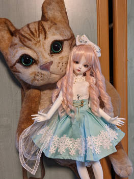 Doll and cat