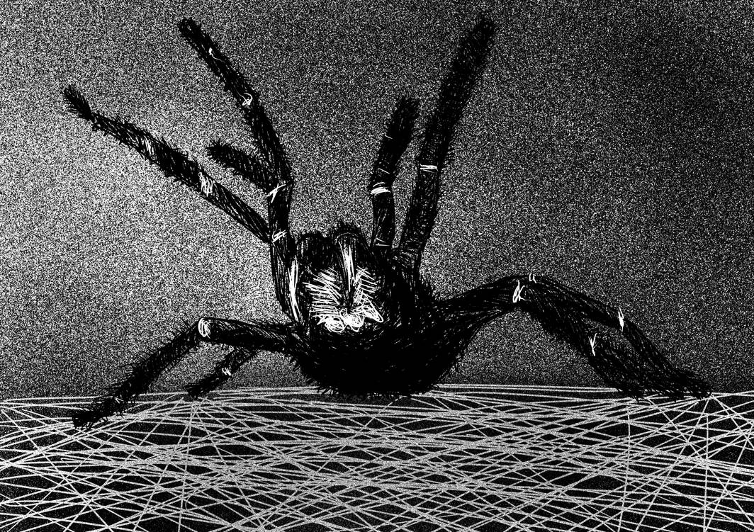 Striking Spider by BurntBone on DeviantArt