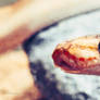 snoot