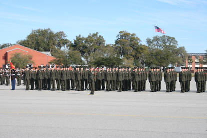 Platoon 2012