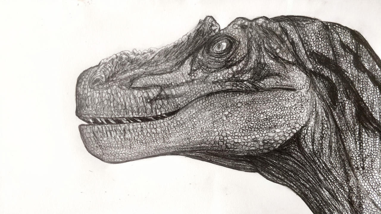 Gorgosaurus by TheSickleClaw on DeviantArt