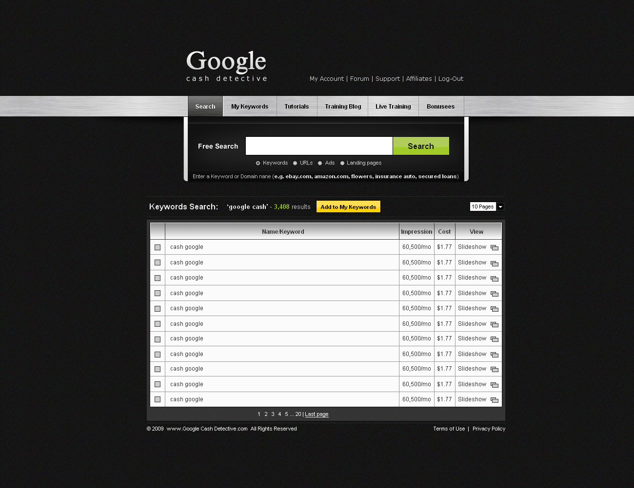 Google-Cash web site design