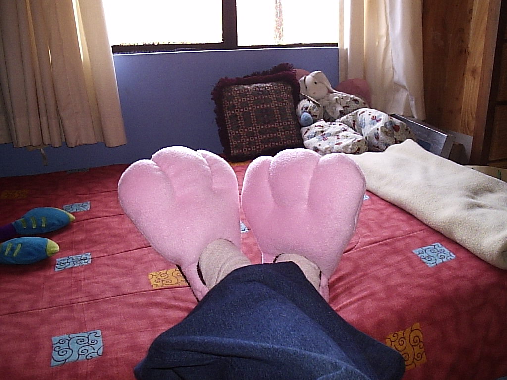 bugs bunny feet slippers