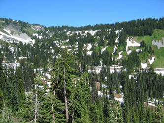 Sonwy landscape, mount rainer