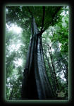 Tree of Wormia by trabi