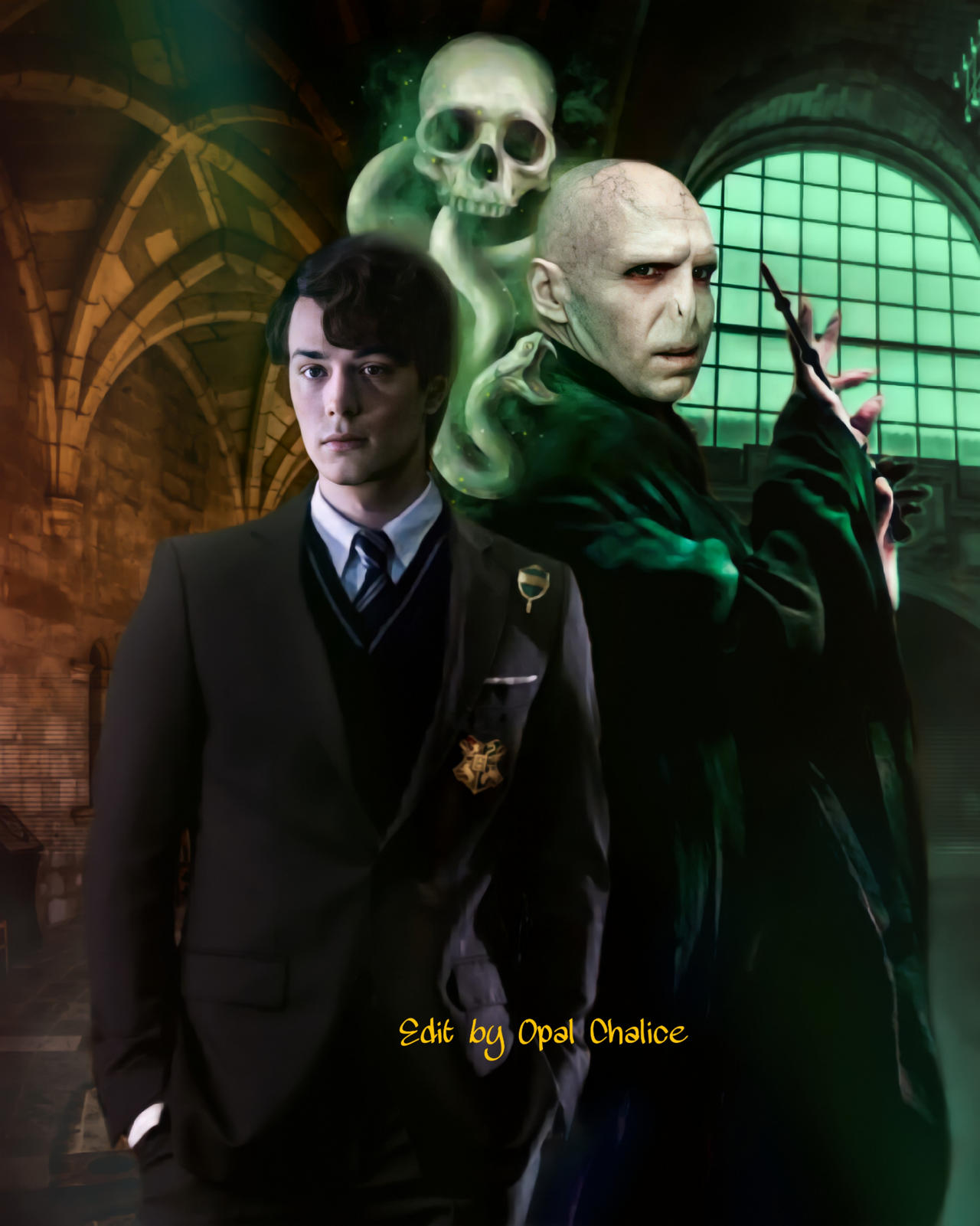 Voldemort The Dark Lord by OpalChalice on DeviantArt