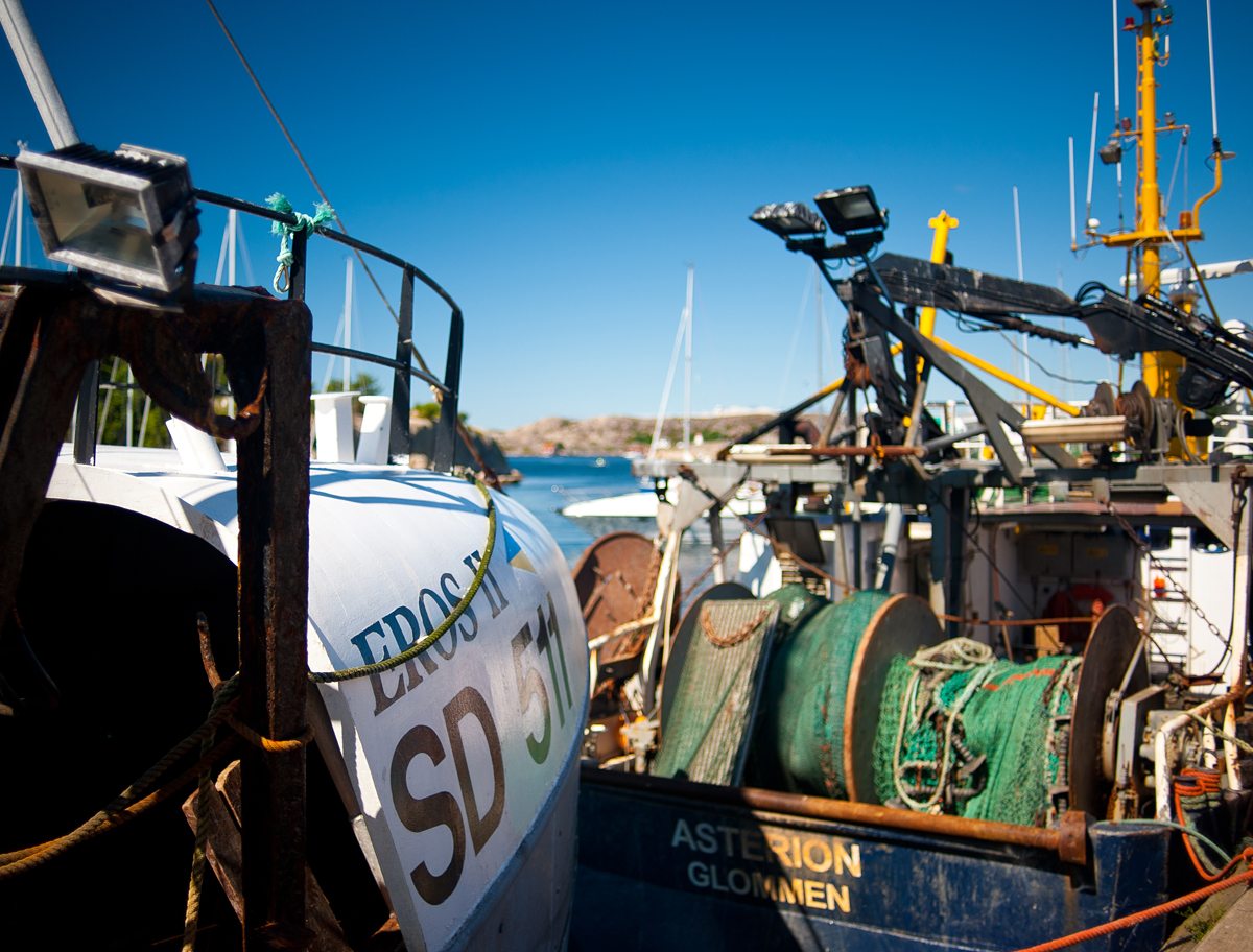 Shrimping boats