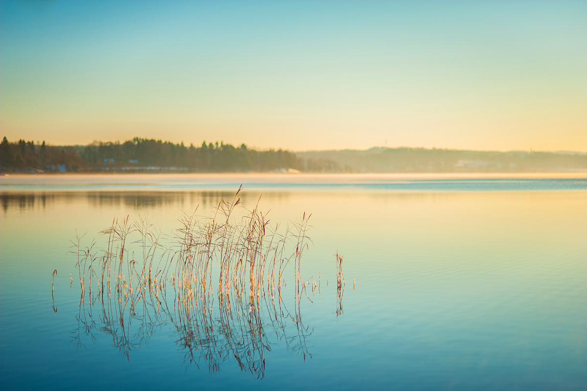 Misty lake