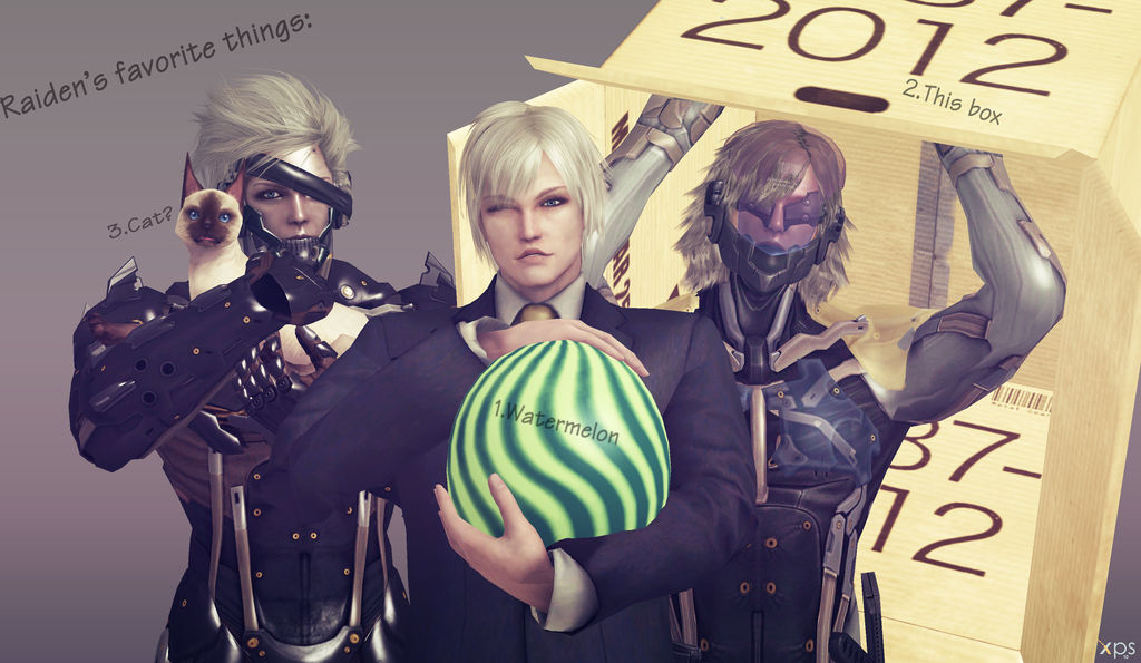 Raiden's favorite things by DavidRiki on DeviantArt