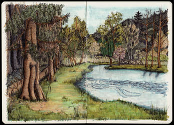 Pond in Doksy