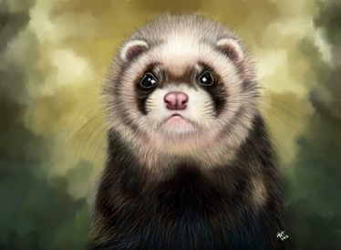 Polecat