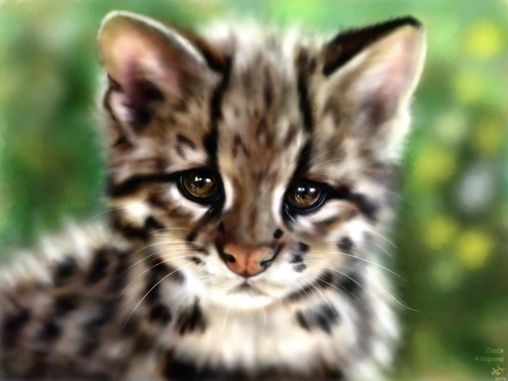 Mountain Cat (finger/ipad)