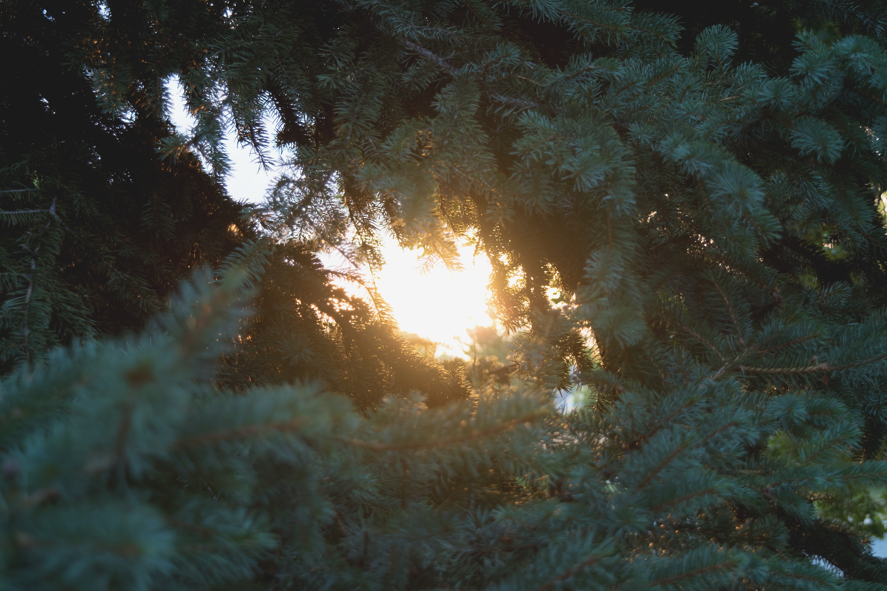 Sunlight Splinters by Chillstice