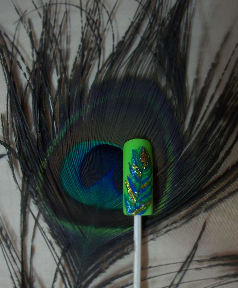 Peacock Feather