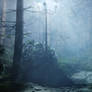 Silent wander