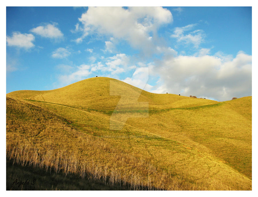 Golden Hillside