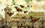 Butterflies by justsomedude86