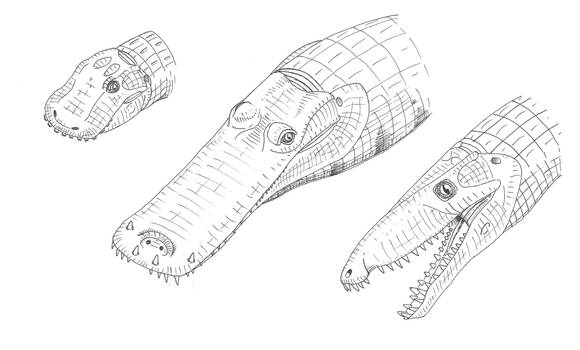 croc heads