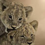 The Lion Cubs