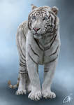 The White Tiger by josephinekazuki