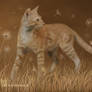 Dandelion Cat