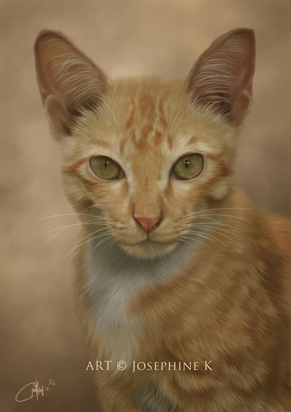 Tama