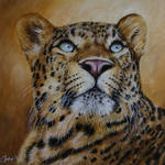 Leopard by josephinekazuki