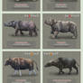 Part 2 ~Indonesian Endemic Animals~