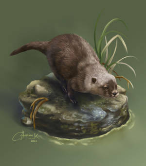 Otter