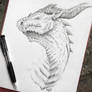 Dragon Sketch!