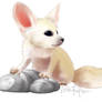 Fennec Fox