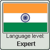 India: National language Hindi - Expert.