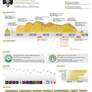 Infographic Resume