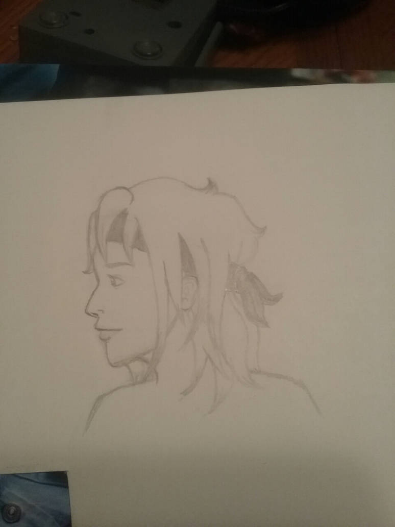 Original character profile drawing by FloatingFlowerCrown on DeviantArt